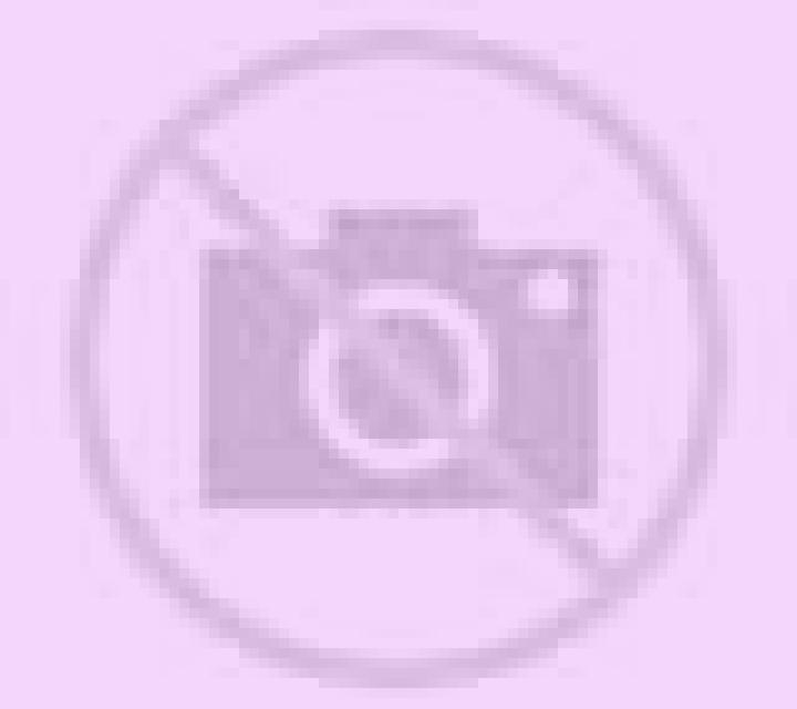 Blackjack MH (Microgaming) slot