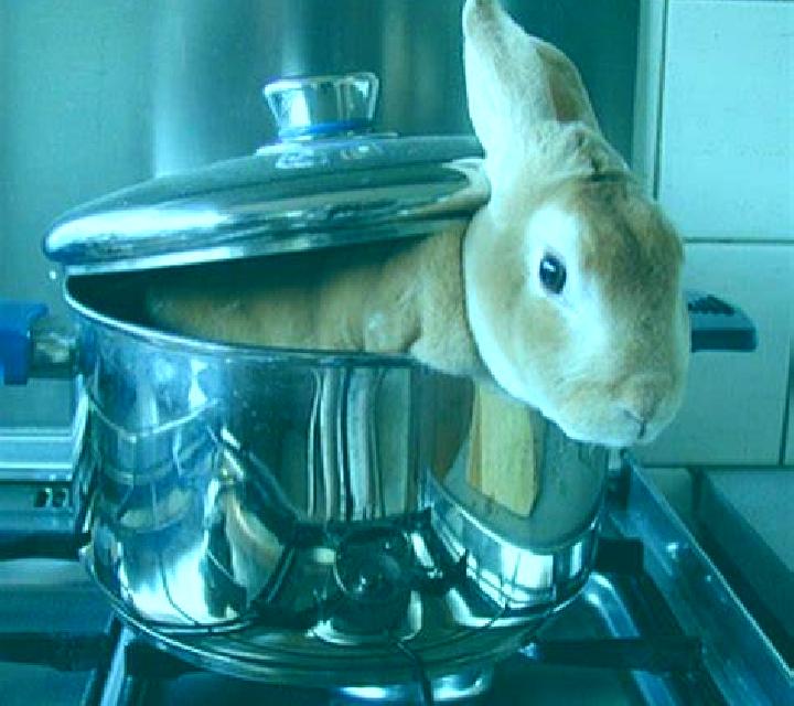 Bunny Boiler slot