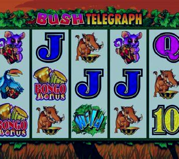 Bush Telegraph slot