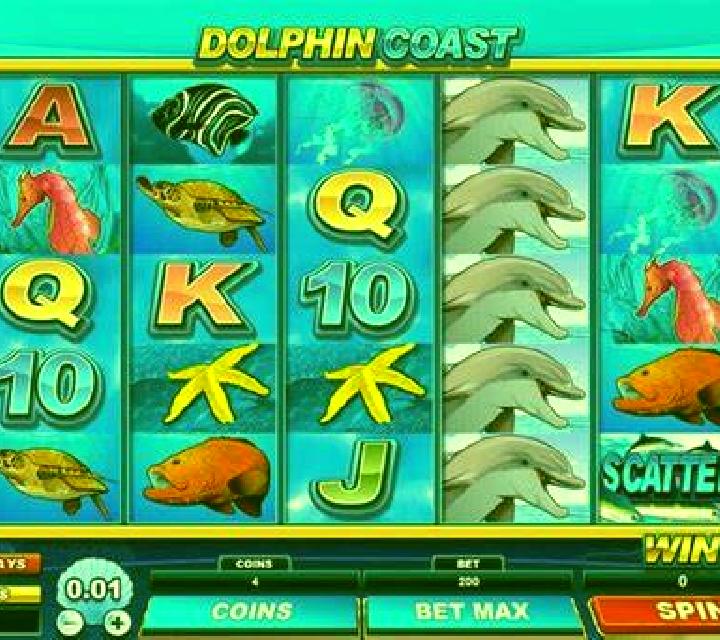Dolphin Coast slot