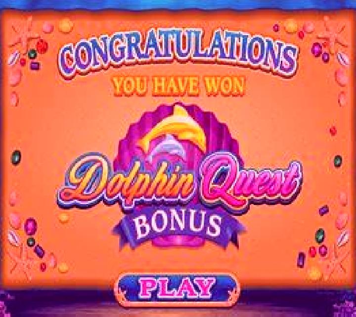 Dolphin Quest slot