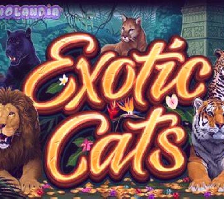 Exotic Cats slot
