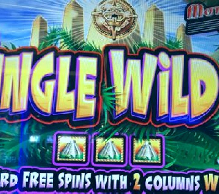 Fortune Girl (Microgaming) slot