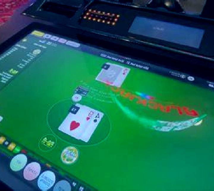 Premier Euro Bonus Blackjack MH slot