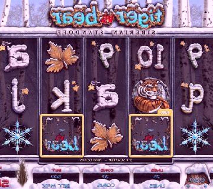 Tiger vs Bear slot